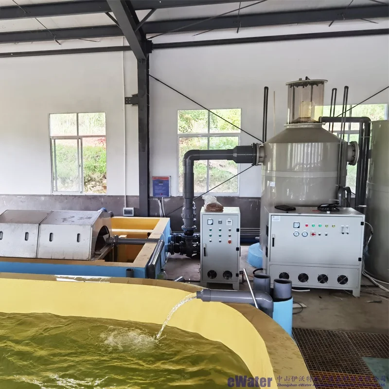Indoor fish farming ras aquaculture technology fish tilapia fish farming