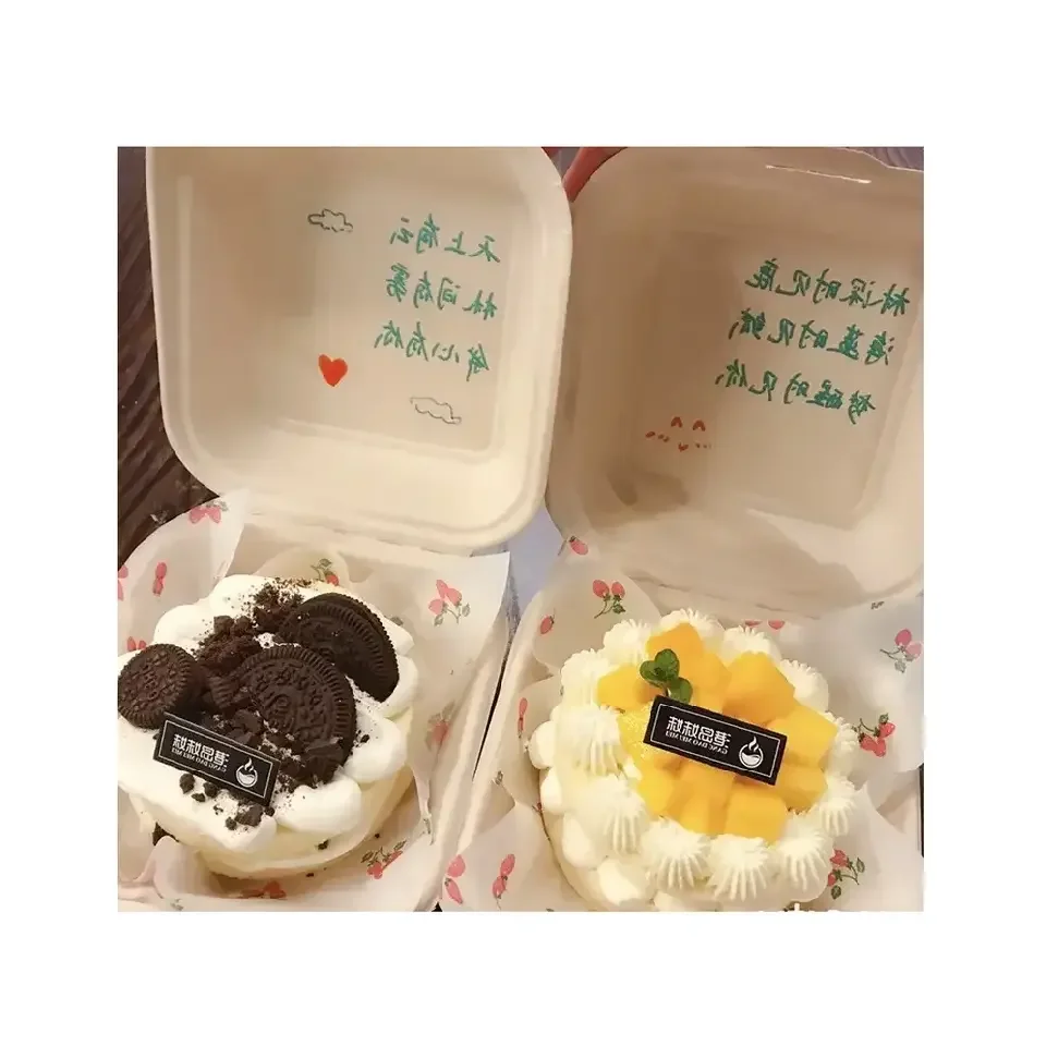 SGP Disposable Lunch Box Take-Out Cake Paper Box Packaging Wholesale Hot Sale Sugar Cane Pulp Burger Box UV Advantage Food