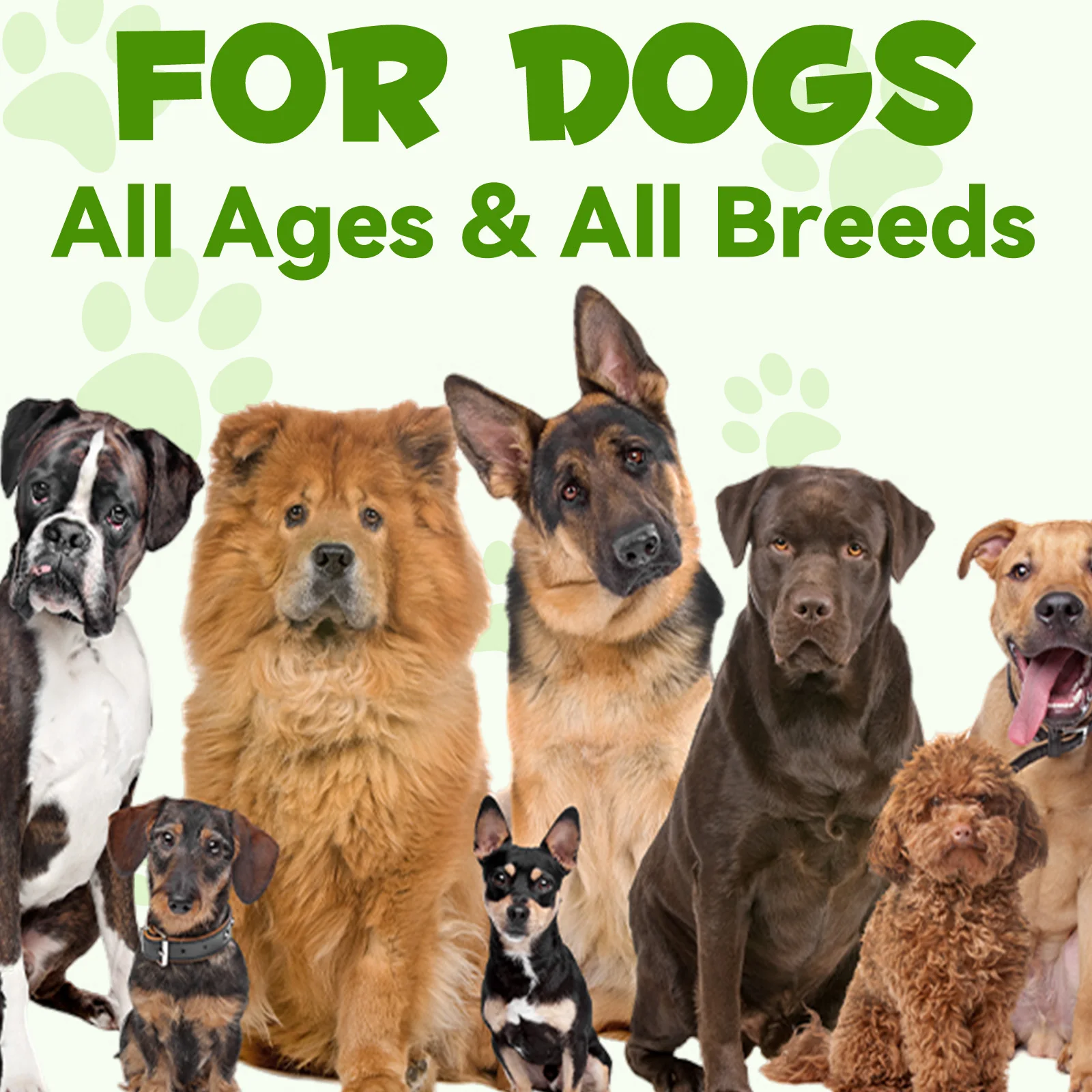 Private Label Natural 3 In 1 Pet Pre and Probiotic Drops Supplement Liquid Probiotic for Dogs with Digestive Enzymes