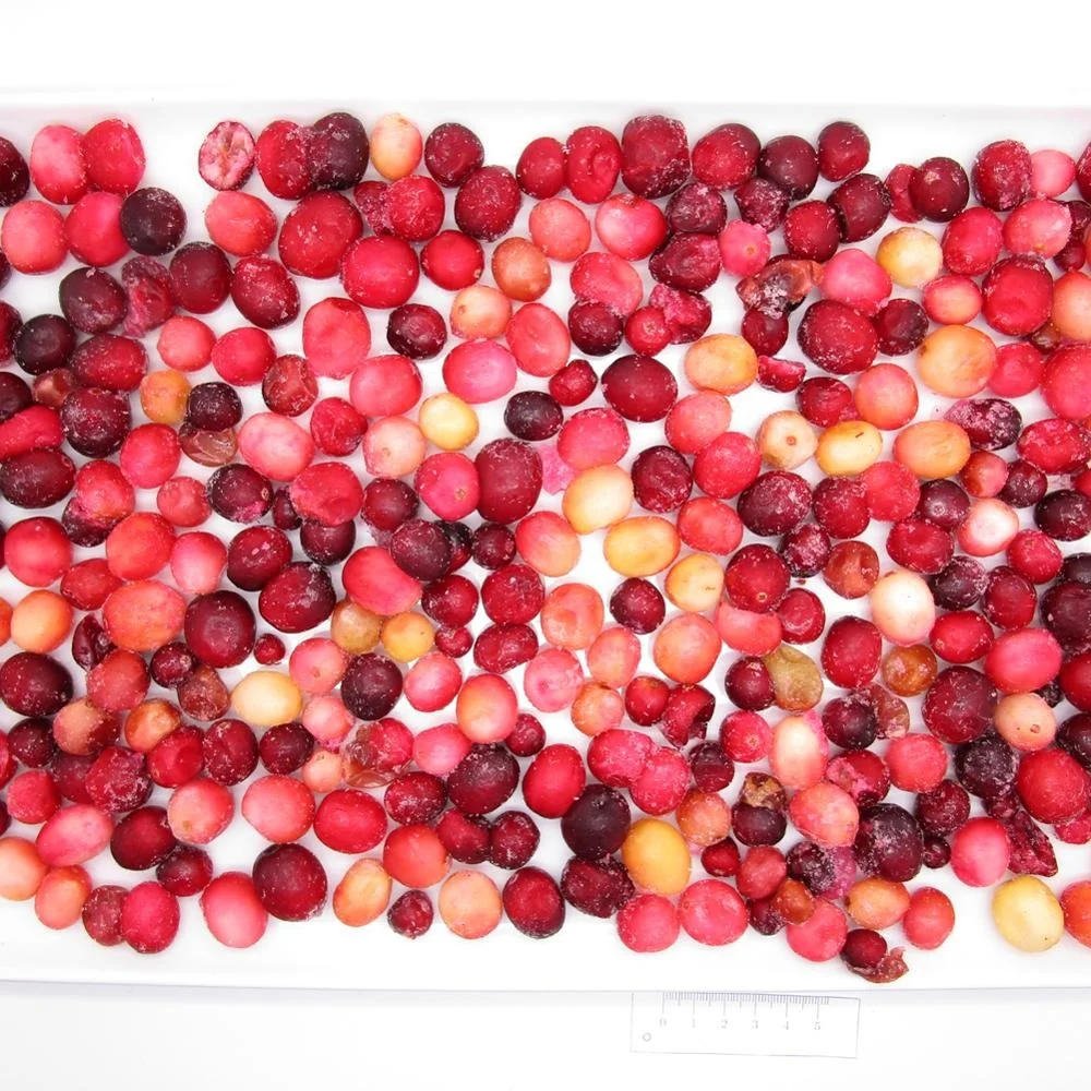 IQF Frozen Fresh Cranberry