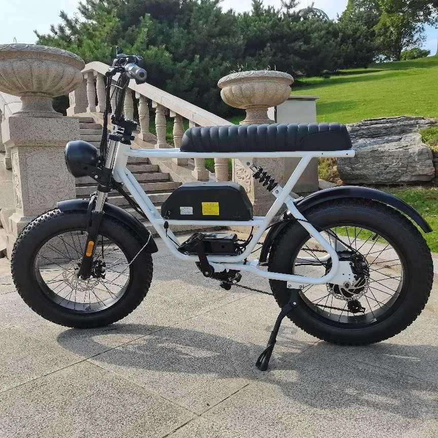 Jinpeng Big Power Electric Bicycle Z9 Strong Motivation Motor Long Mileage Motorcycle Bike Long Cruising Rang Scooter Bike