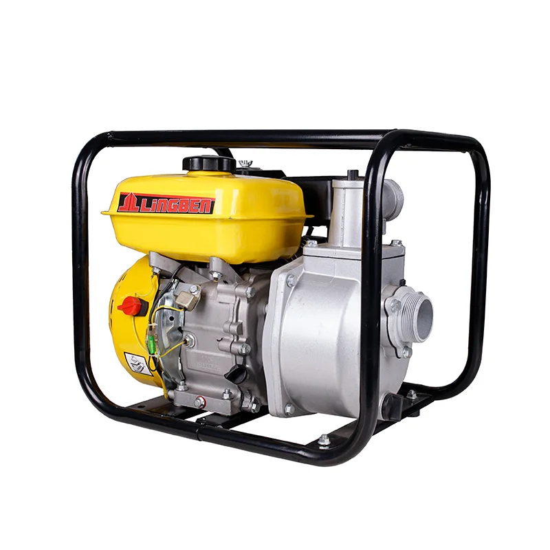 LingBen Portable Popular  Gasoline Water Pump Price Philippines Motor Set Supply For Agriculture Factory Price