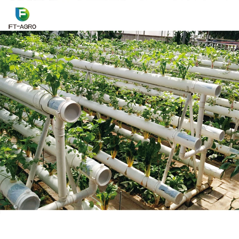 Hydroponic System Vertical Growing Systems PVC Tube For Lettuce And Strawberry