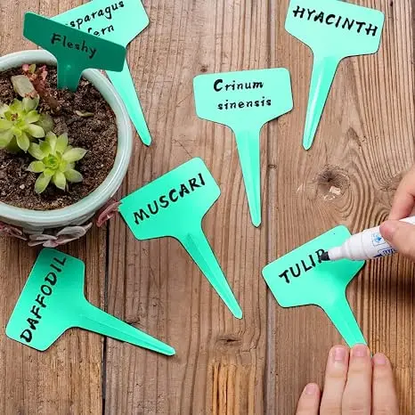 Plastic Waterproof Reusable Gardening Flower Plant T-Type Succulent Label For Flower Vegetables Herb Signs for Tagging Plants