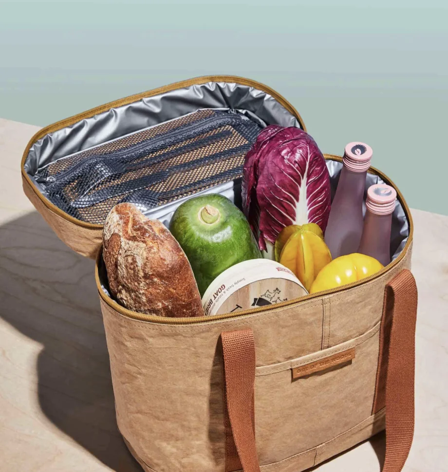 Eco Friendly Reusable & Insulated Tyvek Paper Kraft insulated cooler Lunch Bag