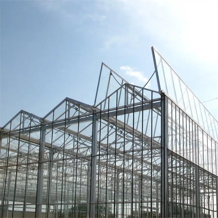 Newest Multi-span Glass Greenhouse Hydroponic Greenhouse Venlo Roof Glass Covered greenhouse