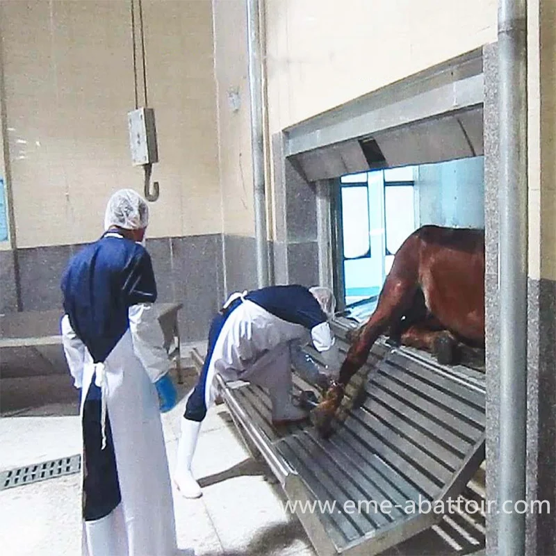 Cow Slaughter Line Abattoir Machinery for Complete Production Cattle Bovine Slaughterhouse Equipment for Sale Silver Provided
