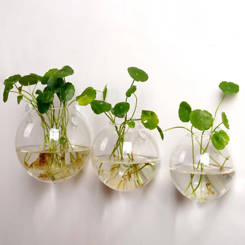 Handmade Hanging Wall Glass Creative wall hanging glass vase Hydroponic plant vase Home wall vase