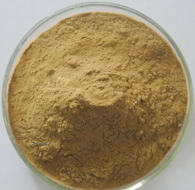 Aloe Vera Extract Aloe Powder Wholesale Price Pure Leaf Powder/plant extract