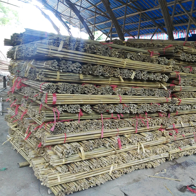 Custom Size Bamboo Garden Stakes Bamboo Sticks For Agriculture