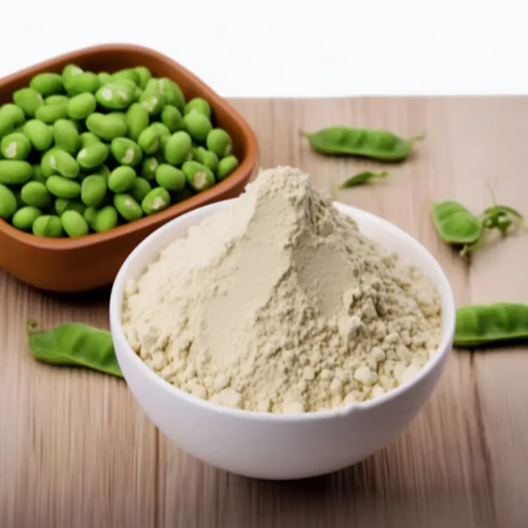 Sports Nutrition Supplements Chocolate Pea Protein Potential Vegetarian Protein Vegan Protein Powder