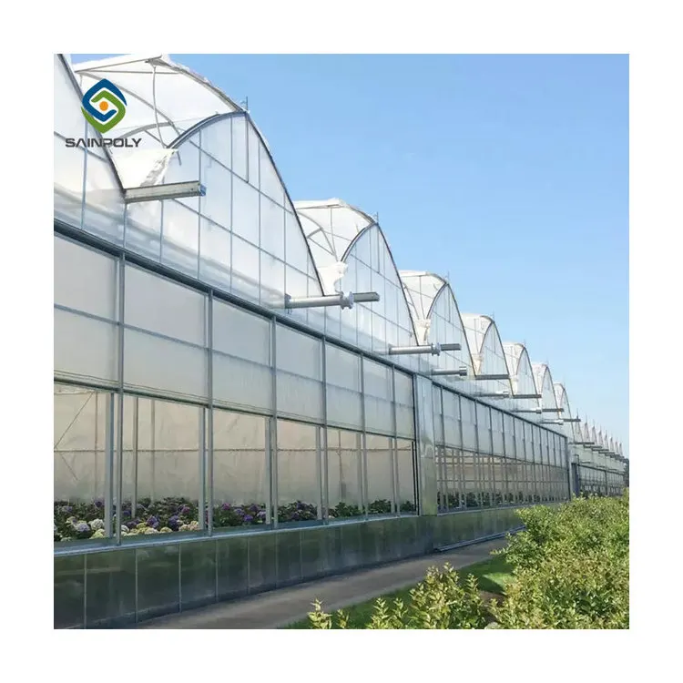 Wind Resistance Multi Span Poly carbonate Greenhouse for Agriculture