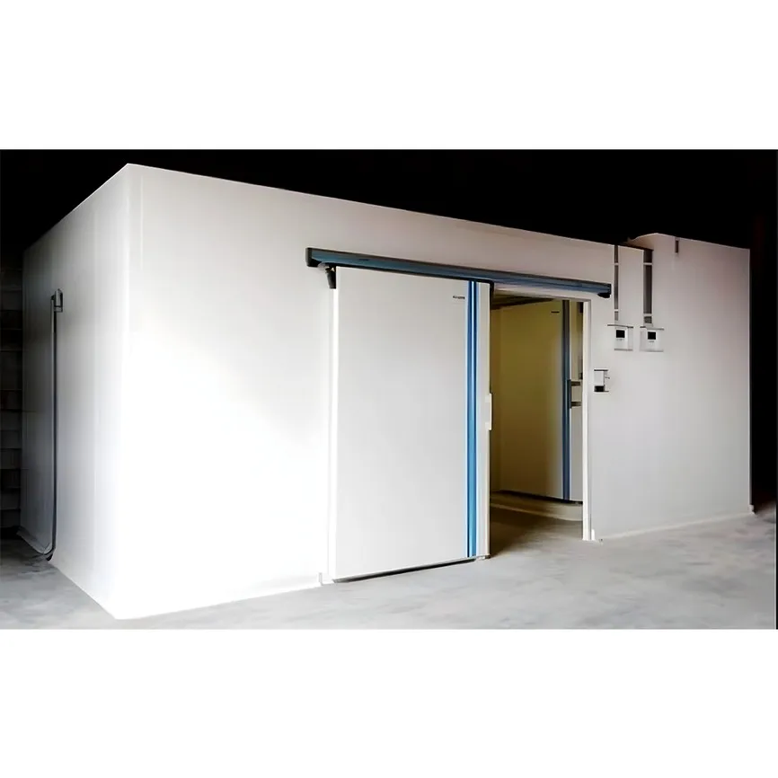 Commercial Cold room warehouse cold storage warehouse walk in freezer blast refrigeration for meat fish vegetables
