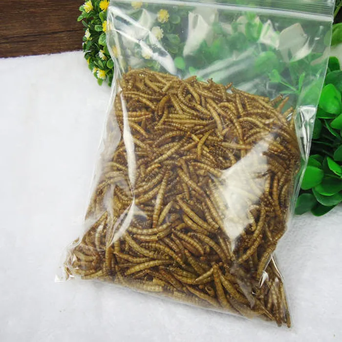 Stocked Feature Wholesale Microwave Dried Mealworms for Birds Chicken Fish Pet food