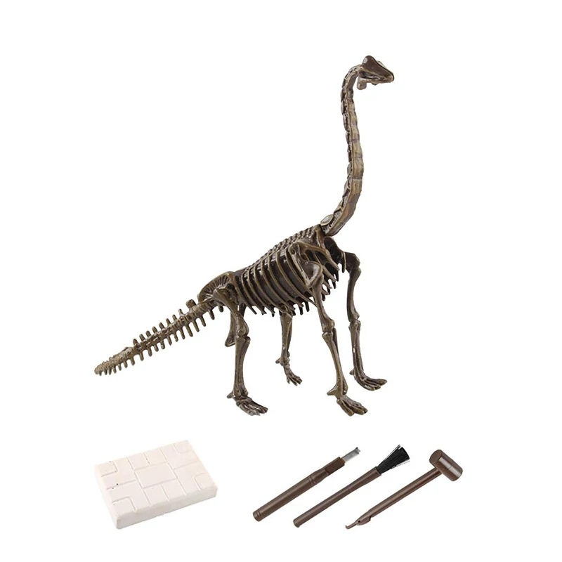 Wholesale Dinosaur Fossil And Excavation For Kids Science Kits For Boys Girls Age 6 And Up