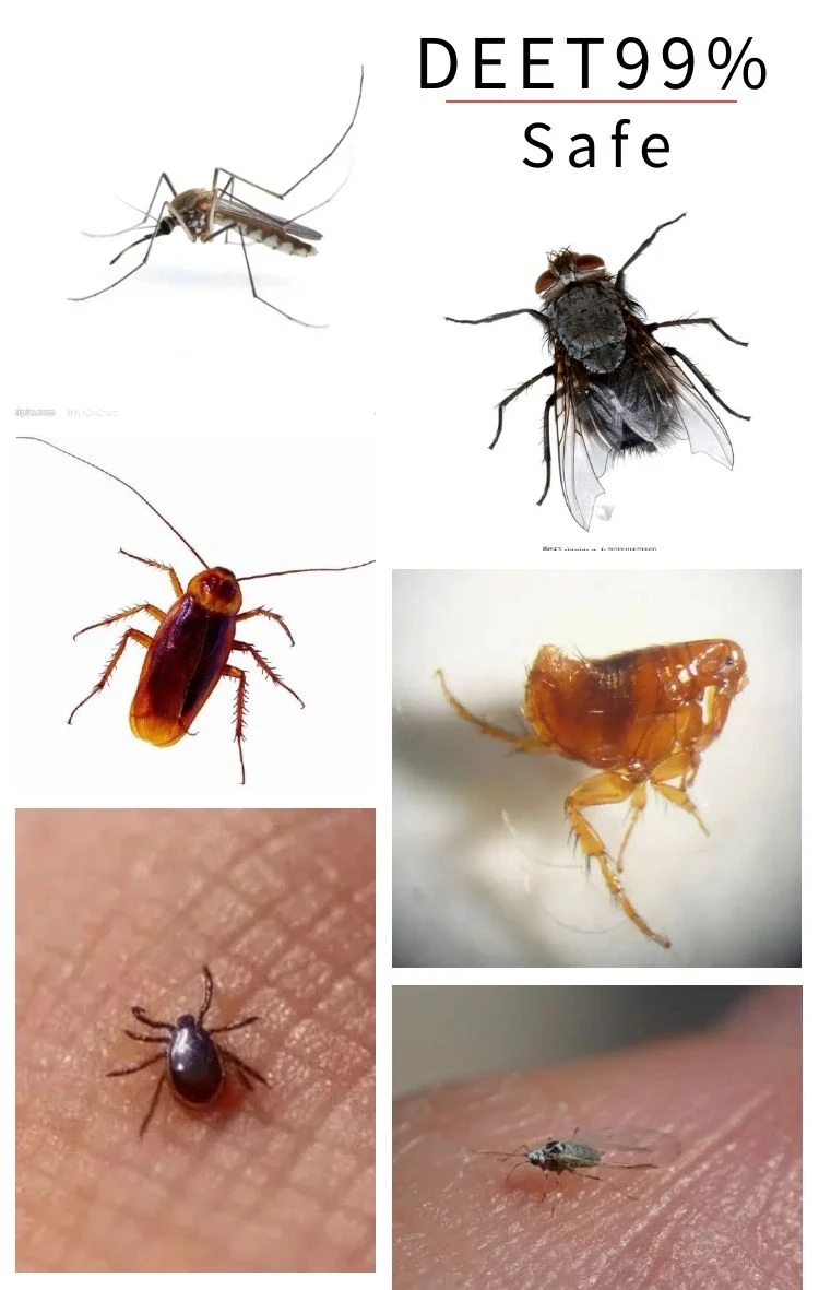 High quality Pest control insecticide DEET mosquito repellent insect