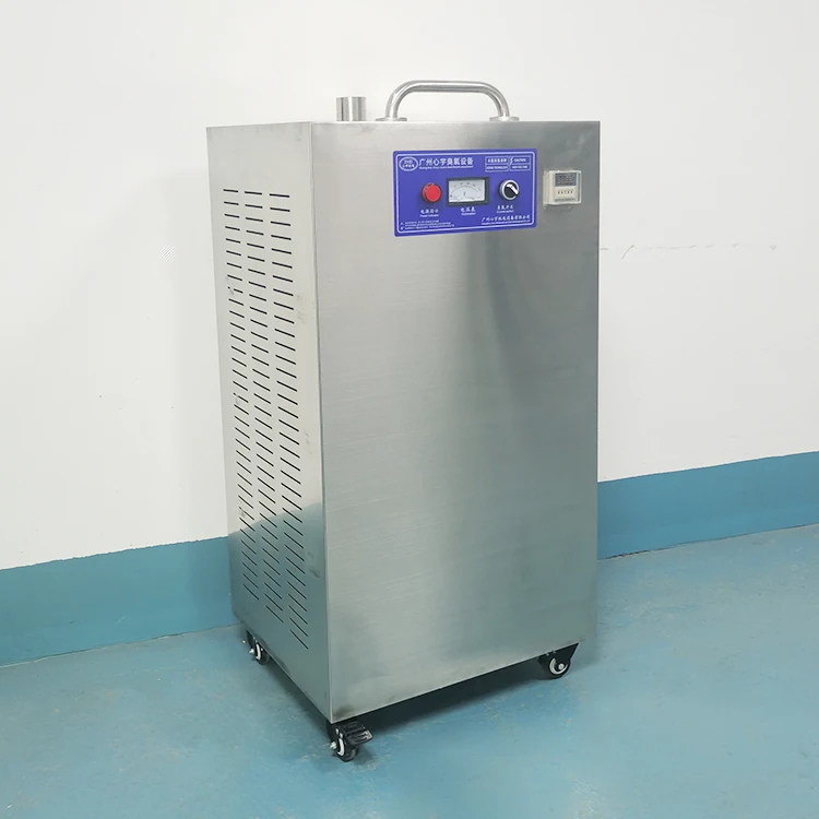 2021 Portable 30g ozone generator air purifier China factory hospital school use industrial ozone generator