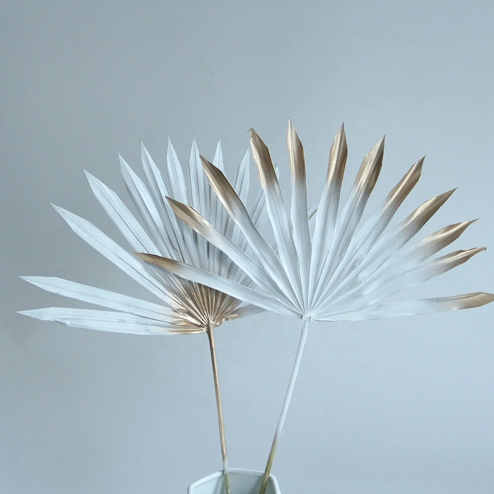 Primary Source Wholesale  Dried Flower Sun Plam Fan Leaves Sprayed color  Plant Material for Home Hotel Office Party Wedding Dec