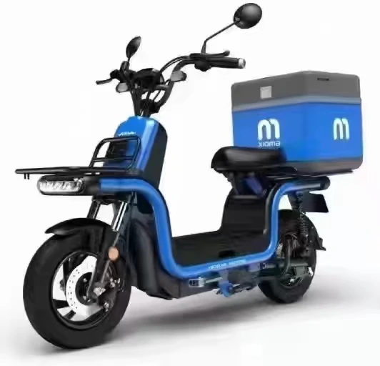 ODM OEM Service 650W 48V 60V 20AH Lead Acid Battery Electric Scooter Delivery Bike for Fast Food Cargo