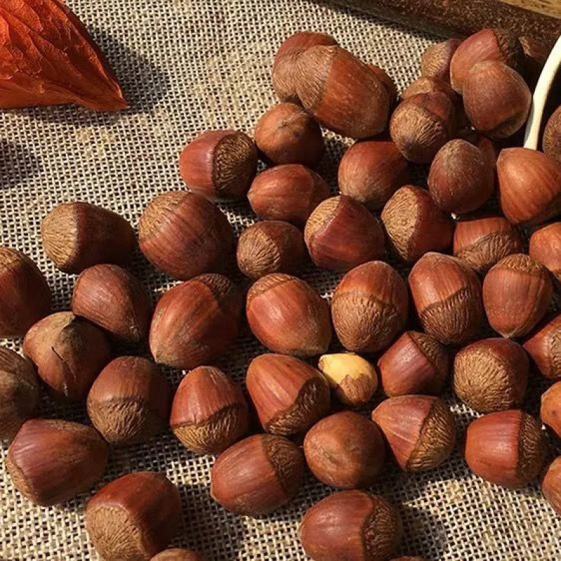 Wholesale Price High Quality China 100% Natural Organic Turkish Roasted Hazelnut