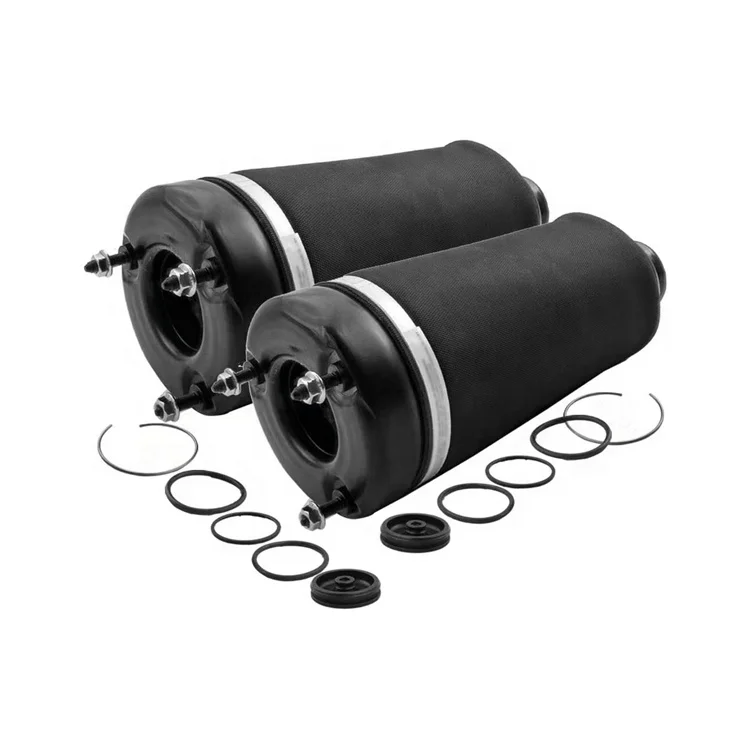 2513203013 2513205613 Auto parts Rear Air Suspension Struts for Benz R-Class W251 Air Spring repair kit