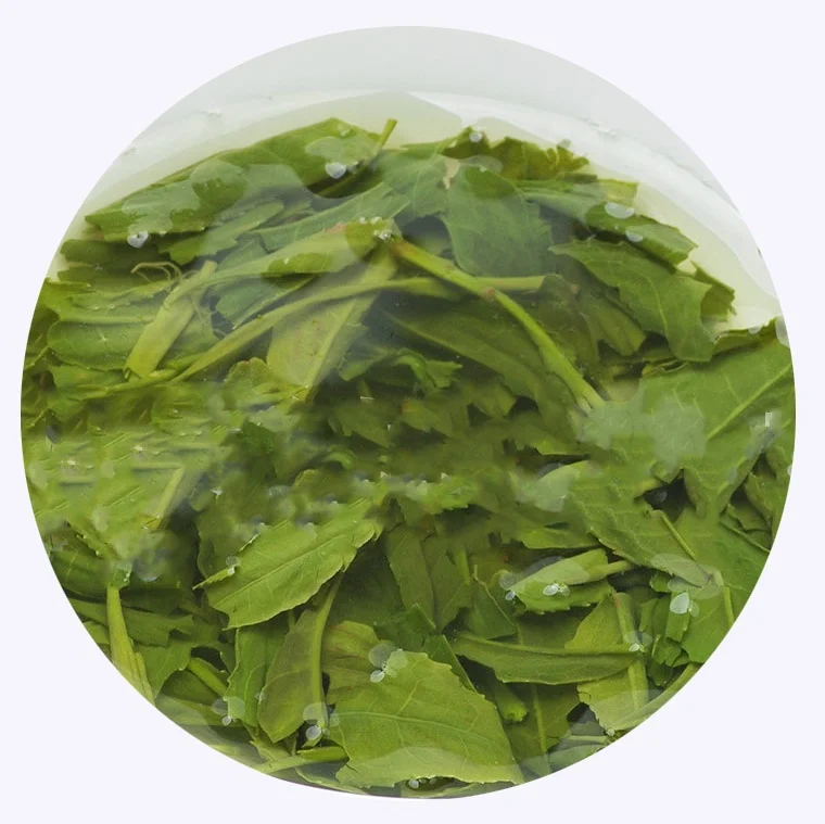 Factory wholesale Hot Sales Chinese Sencha Gyokuro Steam Green Tea  Packaging customization