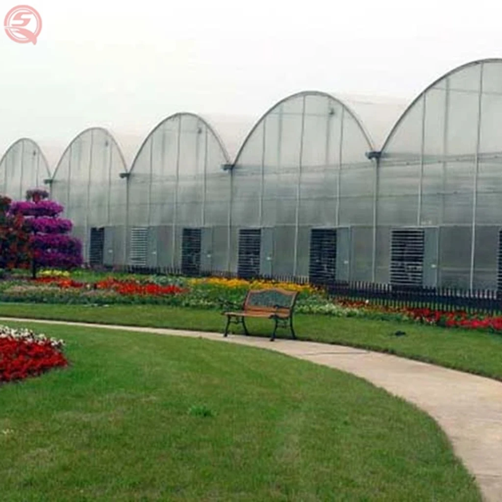 Hot Galvanized Steel Frame Agricultural Greenhouses Tunneling Irrigation System Mushroom Greenhouse