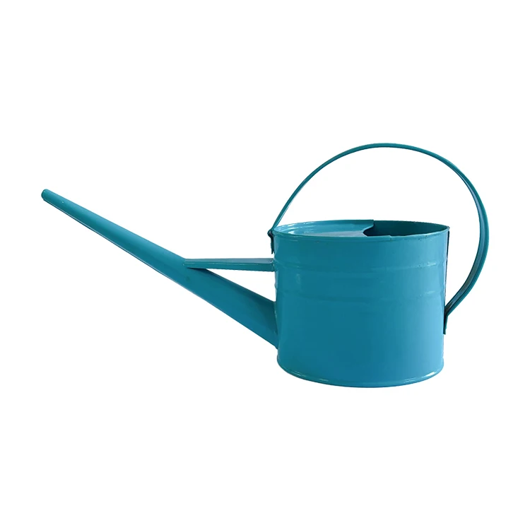 Customized indoor and outdoor 2L metal garden watering cans garden watering tools