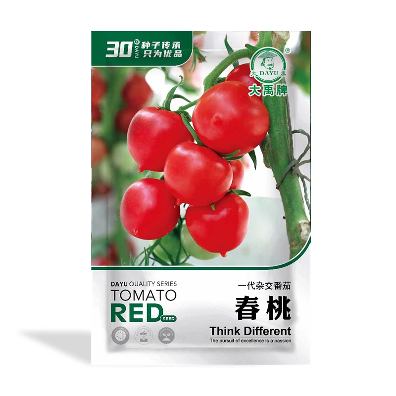 
High quality and high yield vegetable seeds red tomato seeds 