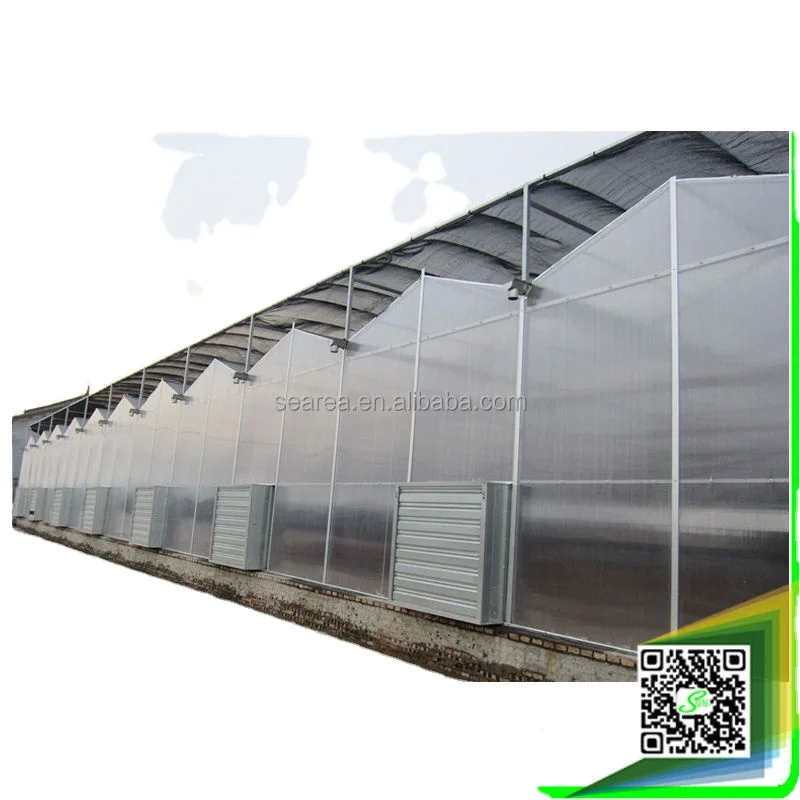 Multi-span agricultural greenhouses type and film cover material hydroponic indoor growing tent