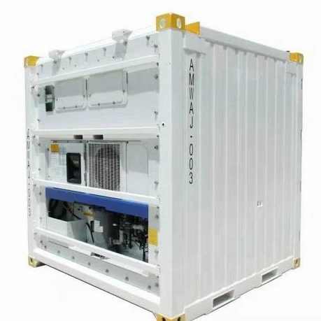 
DNV Standard Reefer Container for Sale, Offshore Use Container Factory Frozen, Chilled Cargo 1,880 Kg(excluding Reefer Machine) 