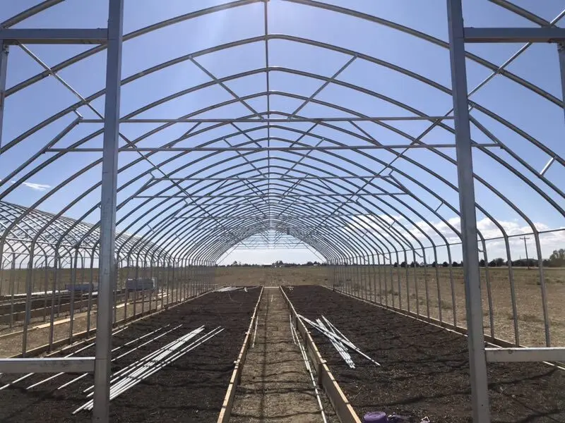 greenhouse complete structure light blackout greenhouse fully automated hemp invernadero agriculture greenhouse