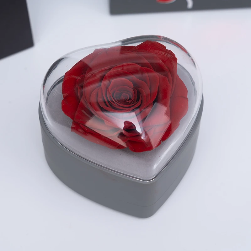 DIY enchanted  preserved rose than smell good in heartshape gift box for valentine day gift preserved rose in jewel box