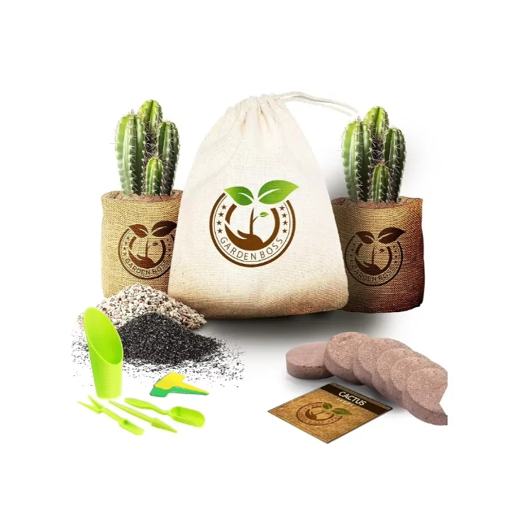 Hot sale Cactus Seed DIY Germination Starter Kit for Indoor Growing
