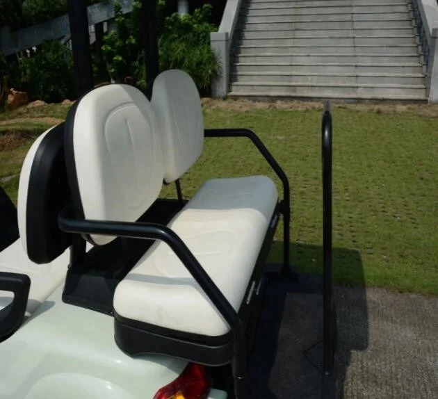 lvtong golf cart with curtis electric car conversion kit
