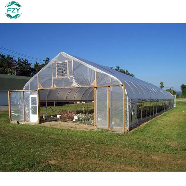 supply large winter garden vegetable growing Single Span  Film Green House Metal Frame Tunnel  agricultural greenhouse for plant