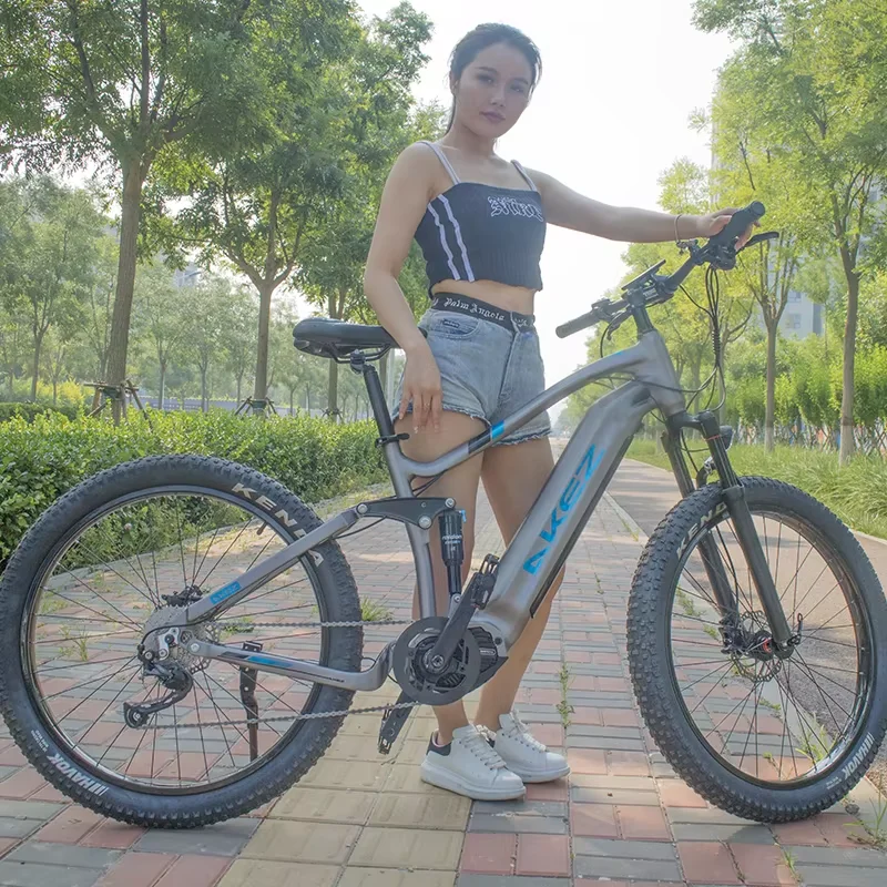 Bafang M600 27.5 Inch Electric Mountain Dirt Bike Rear Shock Absorbing Aluminum Alloy Frame 48V 500W  Mid Ebike  9 Speed Shifts