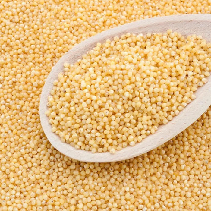 
Coarse Grain Millet millet hybrid seed coarse ground grain coarse grain rice 