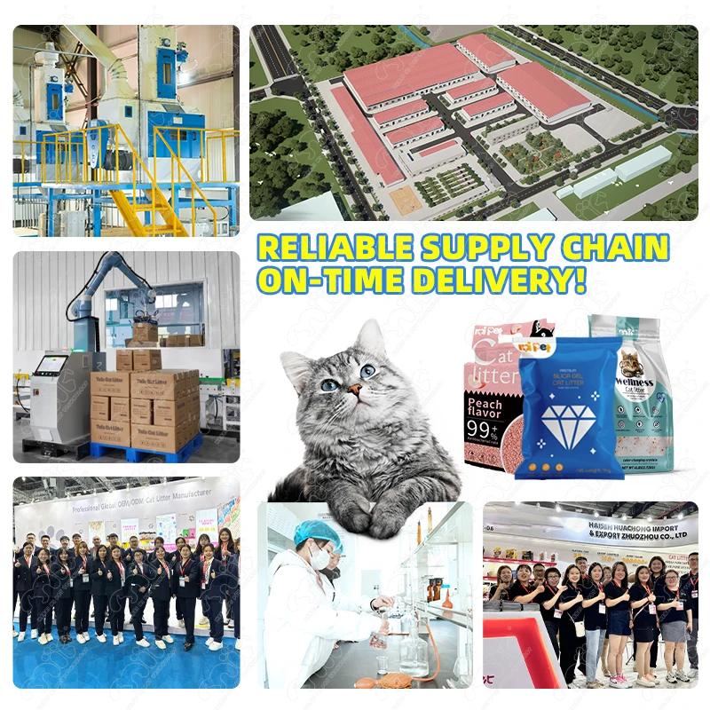 Wholesale Cat Litter Factory Eco-Friendly Dust-Free Deodorization Premium Silica Gel Cat Litter