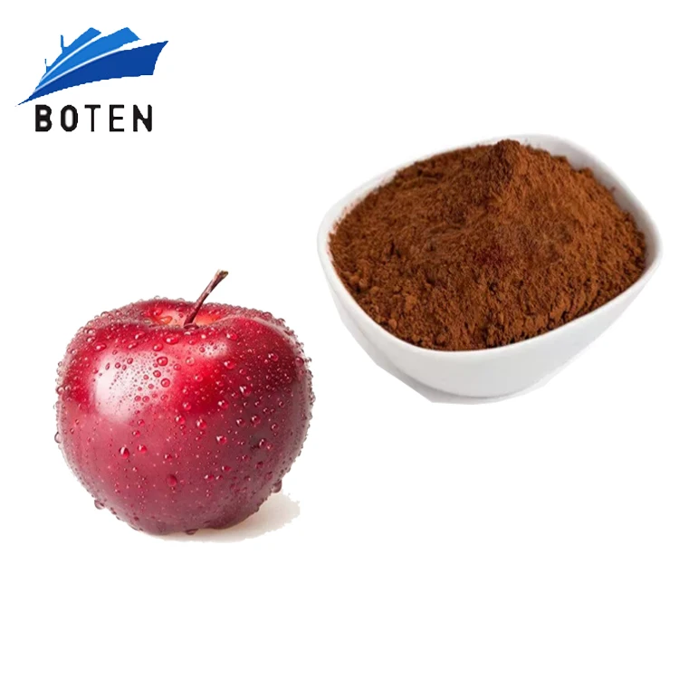 Hige Purity  Apple Extract Powder Procyanidin B2 15% HPLC CAS:29106-49-8