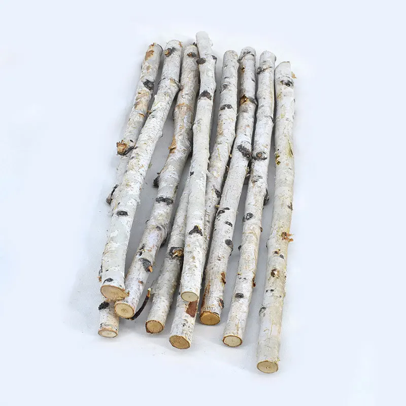 Birch stick decoration, thin branch DIY flower arrangement tree stick, birch stick thin branch