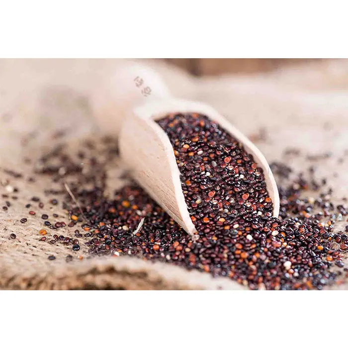 
Quality New arrival grain black organic bulk quinoa price for sale 