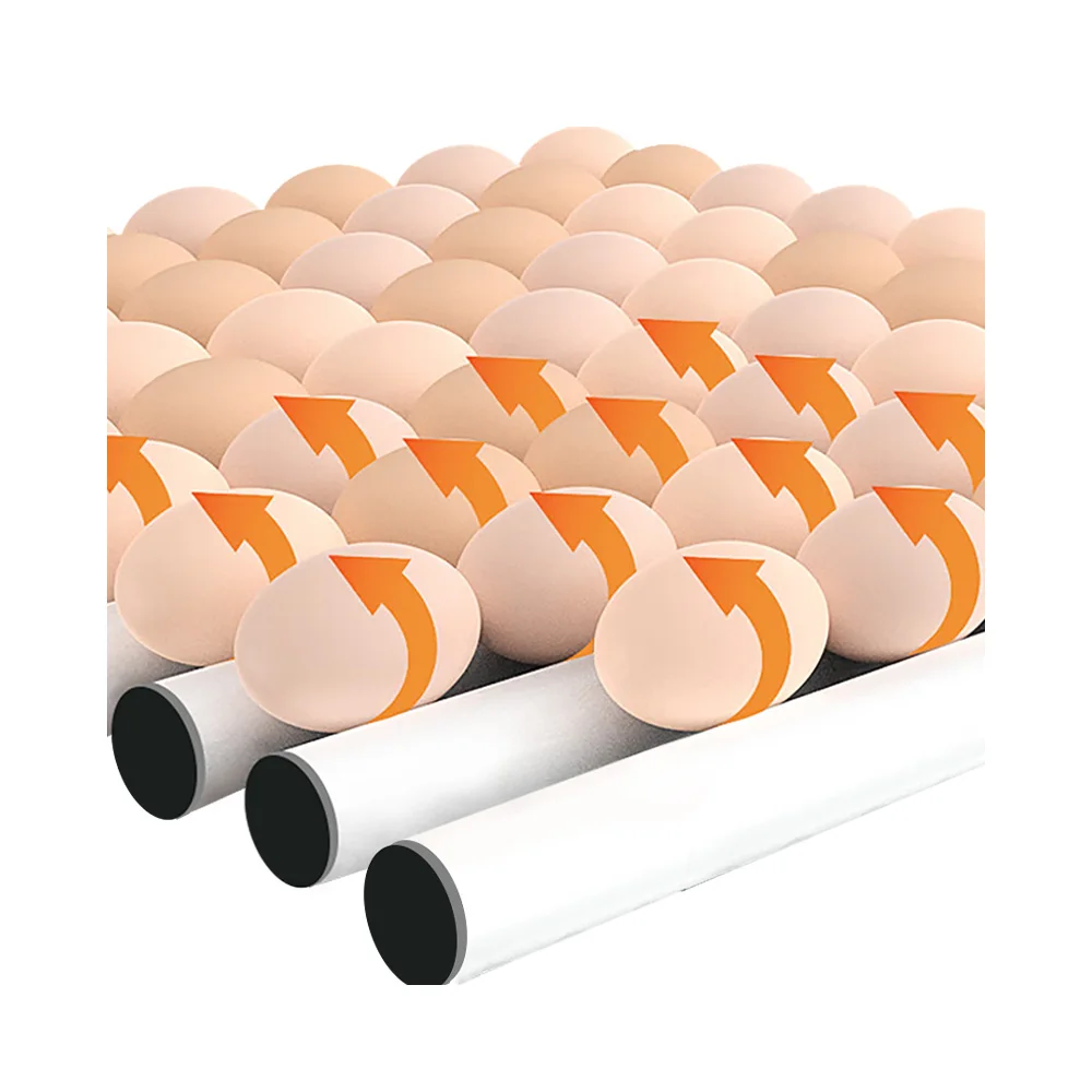 Factory Direct Selling Mini Egg Incubator Chicken Egg Incubation Machine For Hatching