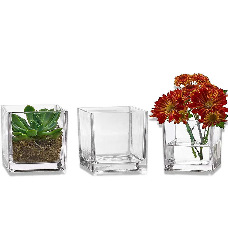 Aeofa Transparent square Vase ornament of glass hydroponic container square glass vase