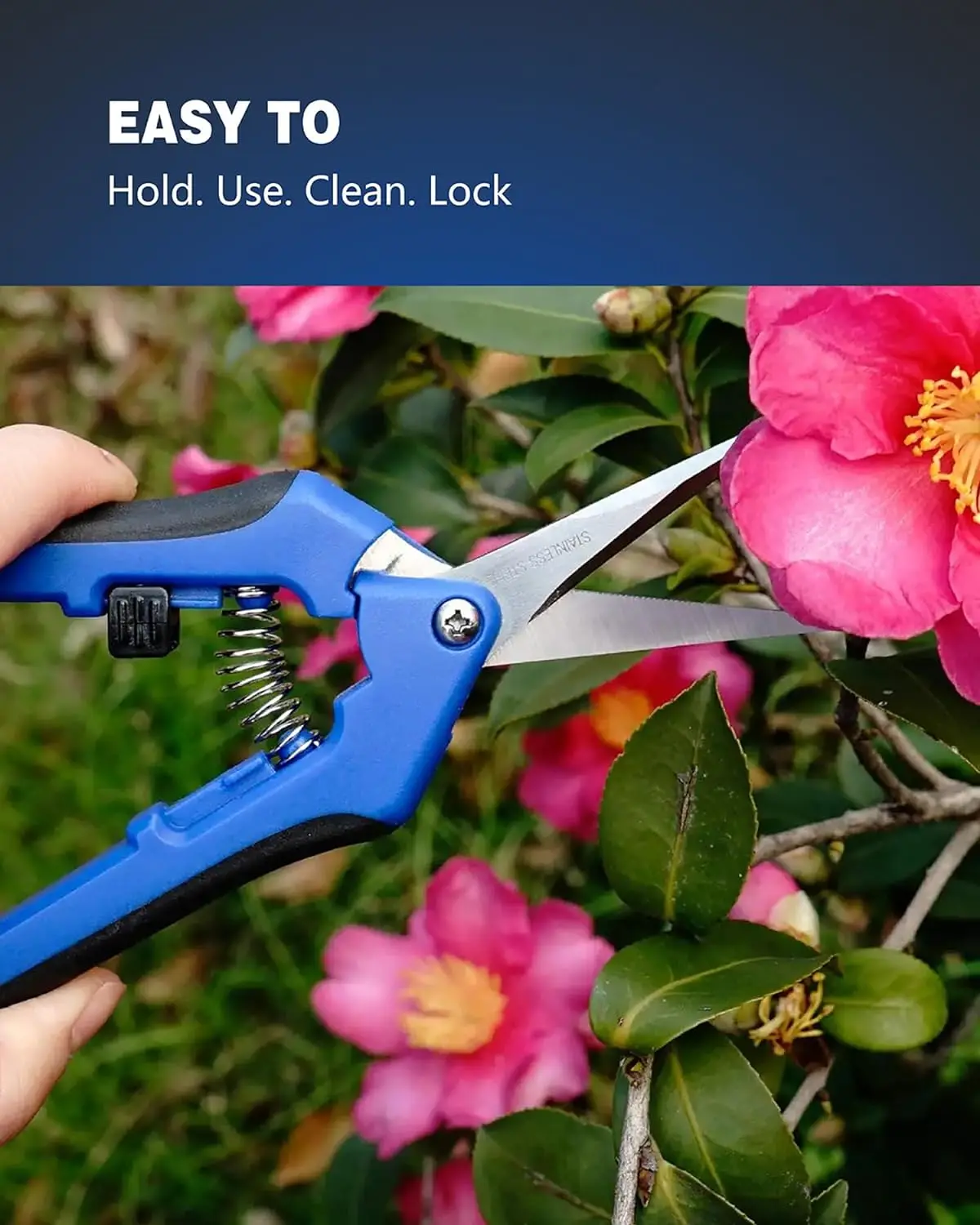 Blue scissor-5.jpg