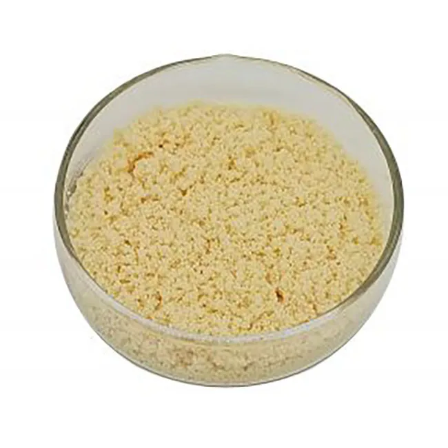 cheap Indion Cationic Water Softening Resin