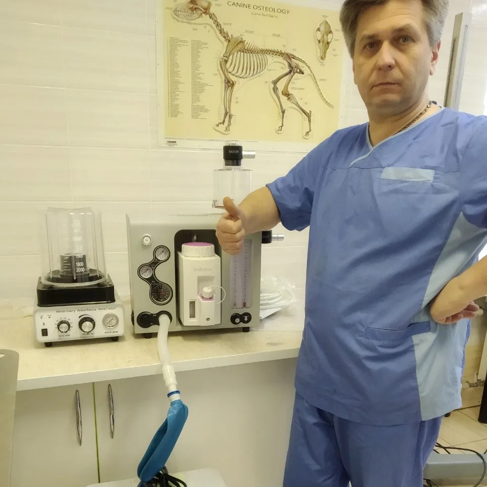 Hot Sale Veterinary Hospital Clinic Medical Anesthesia Machine for Animals