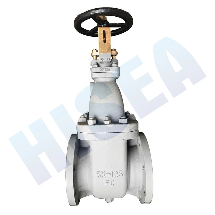 
jis f7363 5k cast iron marine gate valves cast iron valve jis f7363 jis 5k gate valve 