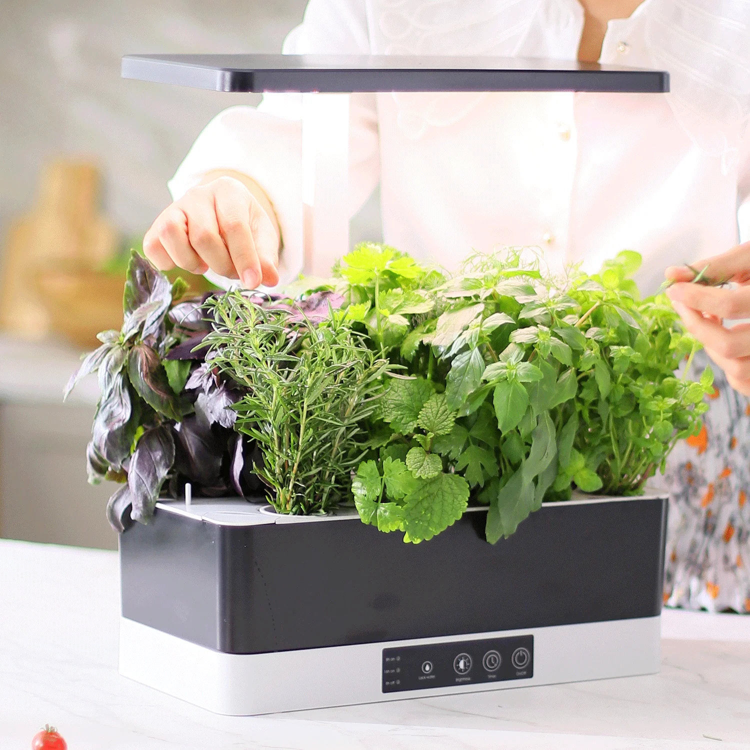 LED Indoor garden kit Harvest Hydroponic growing system 24W Automate Indoor Garden click and grow herb and vegetable garden