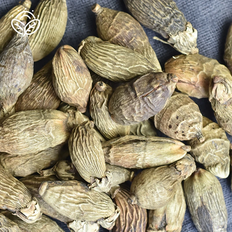Wholesale nuts buyers betel nut areca catechu dried  areca-nut